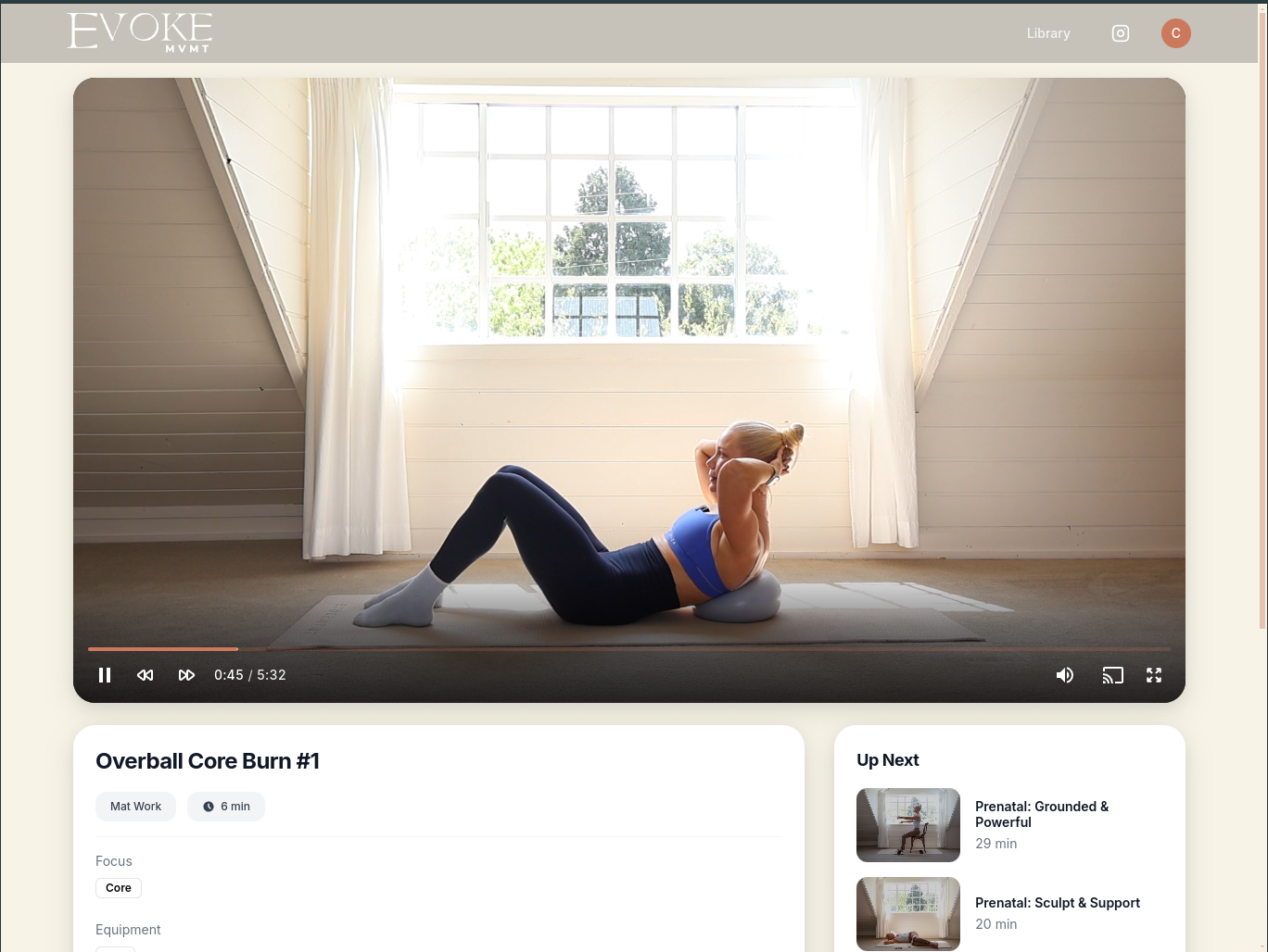 Immersive video playback experience